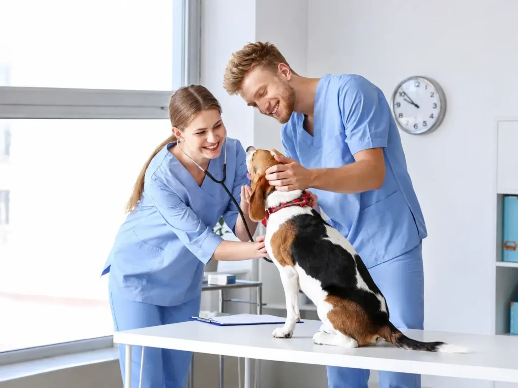 Veterinary clinic team in matching blue scrub uniforms caring for a dog on an exam table during a clinical appointment.